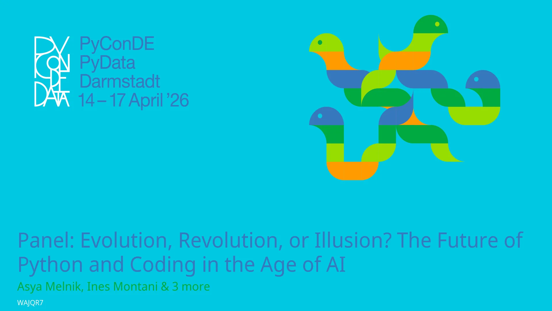 Panel: Evolution, Revolution, or Illusion? The Future of Python and Coding in the Age of AI